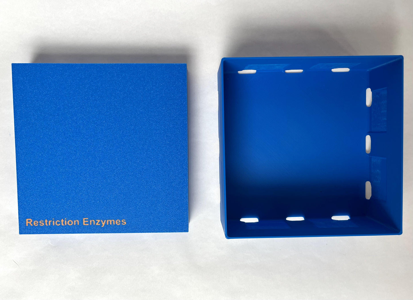 Custom Laboratory Freezer Storage Box (100-Place) | Premium DNA, PCR & Enzyme Sample Organization