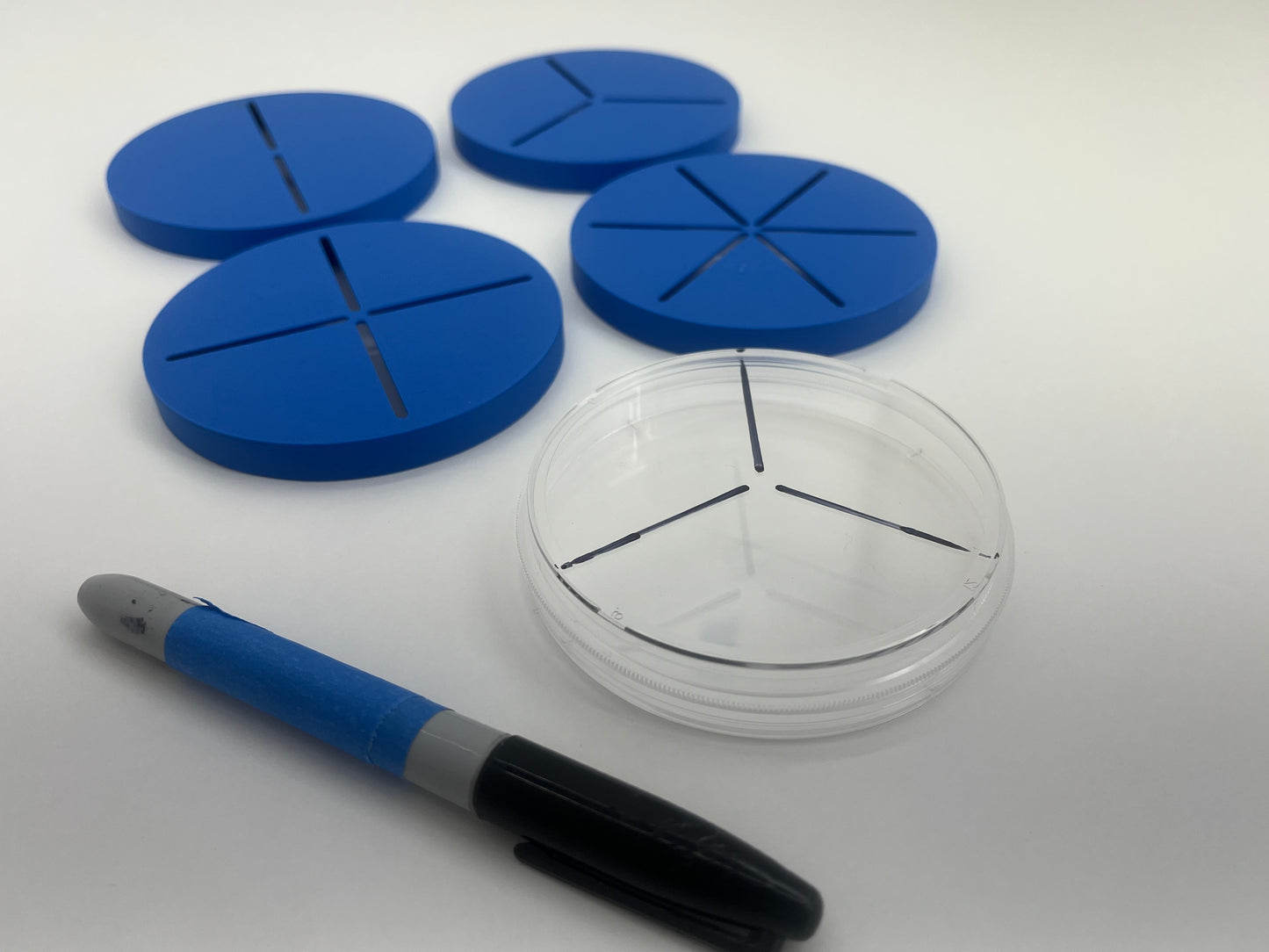 Petri Dish Divider Templates | Create Perfect 1cm Grids and Dish Divisions