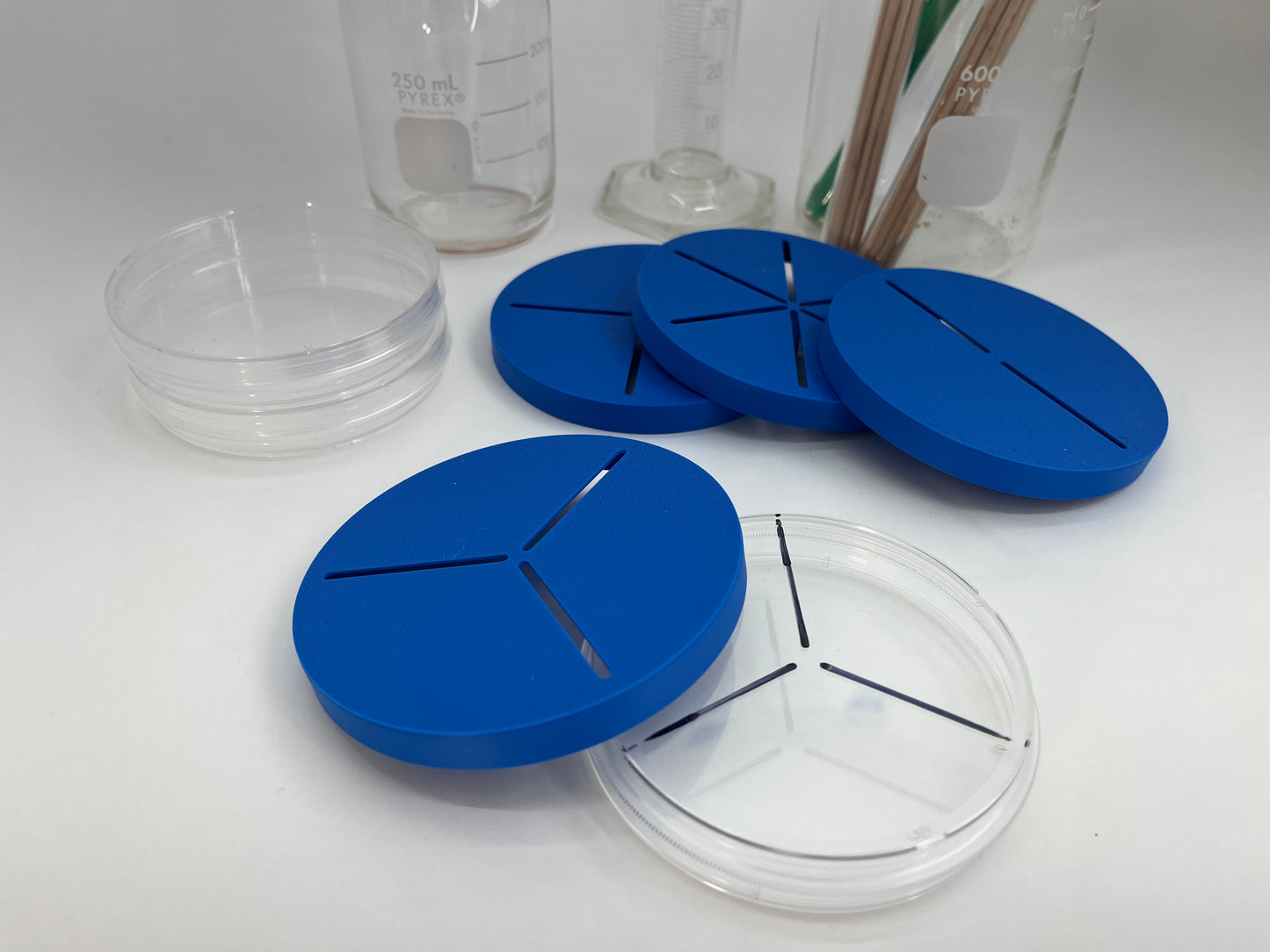 Petri Dish Divider Templates | Create Perfect 1cm Grids and Dish Divisions