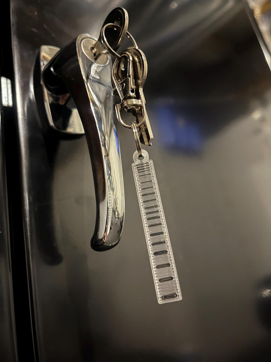 DNA Gel Electrophoresis Keychain: Molecular Biology Gift